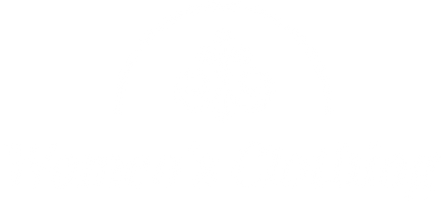 Sheenify Style store